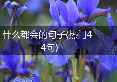 什么都会的句子(热门44句)