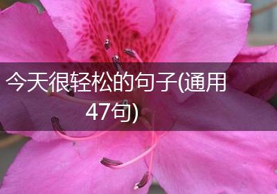 今天很轻松的句子(通用47句)