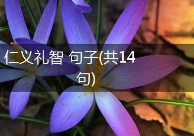 仁义礼智 句子(共14句)