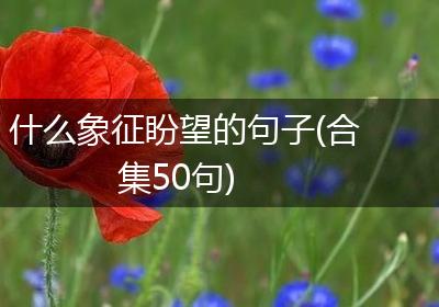 什么象征盼望的句子(合集50句)