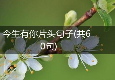 今生有你片头句子(共60句)