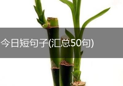 今日短句子(汇总50句)