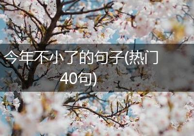 今年不小了的句子(热门40句)