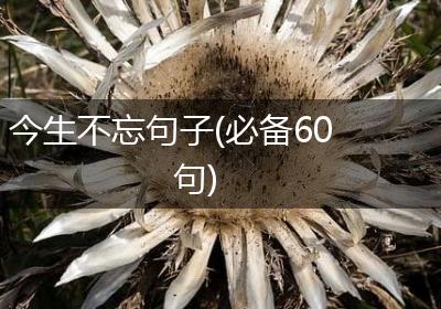 今生不忘句子(必备60句)