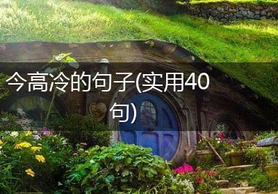 今高冷的句子(实用40句)