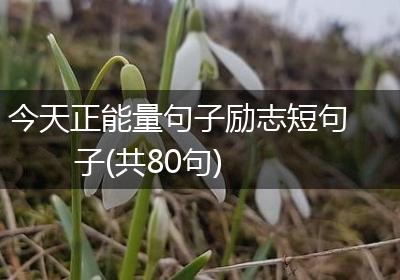 今天正能量句子励志短句子(共80句)