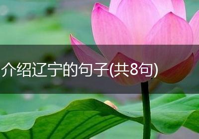 介绍辽宁的句子(共8句)