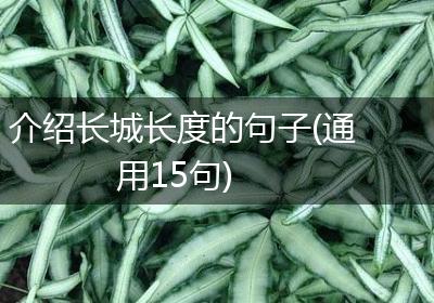 介绍长城长度的句子(通用15句)