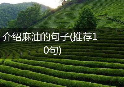 介绍麻油的句子(推荐10句)