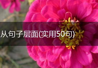从句子层面(实用50句)