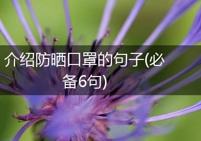 介绍防晒口罩的句子(必备6句)