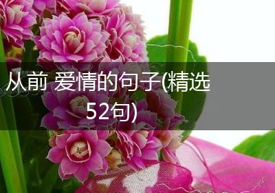 从前 爱情的句子(精选52句)