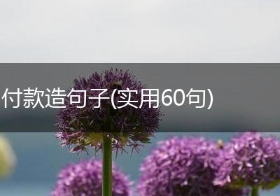 付款造句子(实用60句)
