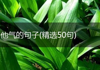 他气的句子(精选50句)