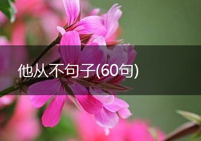 他从不句子(60句)