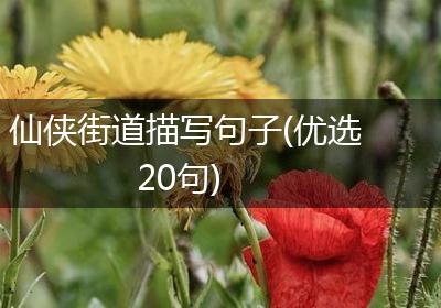 仙侠街道描写句子(优选20句)