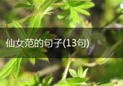 仙女范的句子(13句)