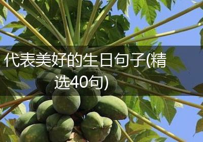 代表美好的生日句子(精选40句)