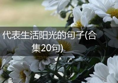 代表生活阳光的句子(合集20句)