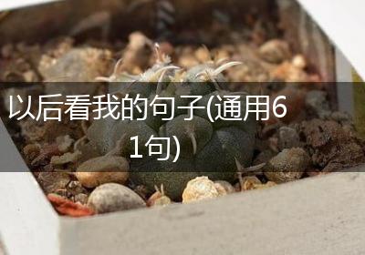 以后看我的句子(通用61句)