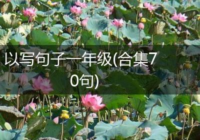 以写句子一年级(合集70句)