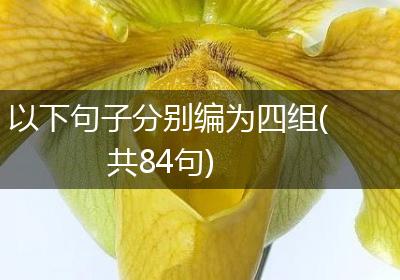 以下句子分别编为四组(共84句)
