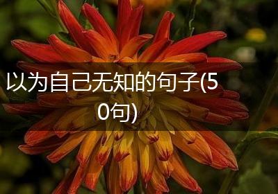 以为自己无知的句子(50句)