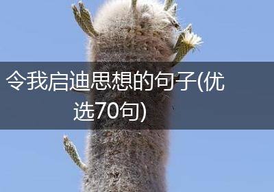 令我启迪思想的句子(优选70句)