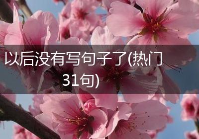 以后没有写句子了(热门31句)
