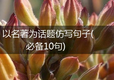 以名著为话题仿写句子(必备10句)