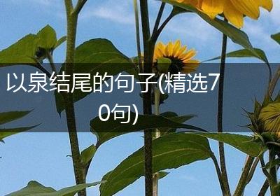 以泉结尾的句子(精选70句)