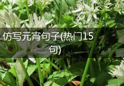 仿写元宵句子(热门15句)