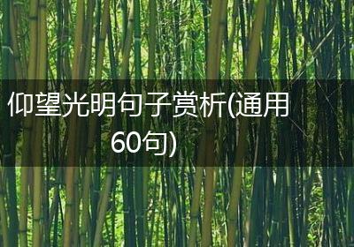 仰望光明句子赏析(通用60句)