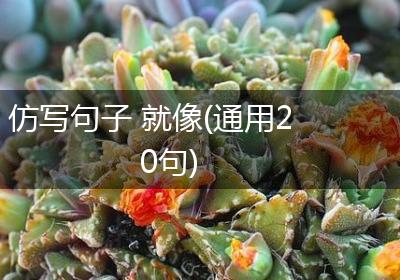 仿写句子 就像(通用20句)