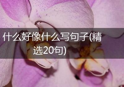 什么好像什么写句子(精选20句)