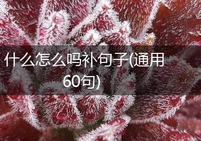 什么怎么吗补句子(通用60句)