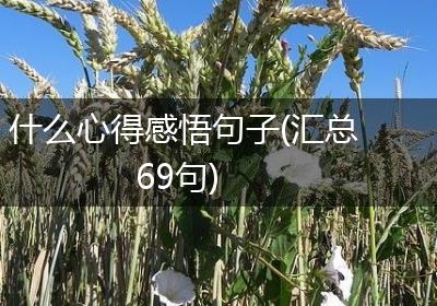 什么心得感悟句子(汇总69句)