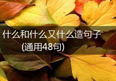 什么和什么又什么造句子(通用48句)