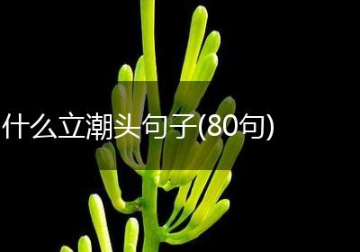 什么立潮头句子(80句)