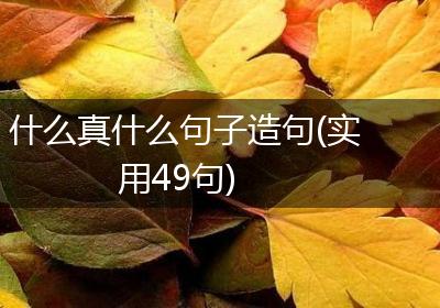 什么真什么句子造句(实用49句)