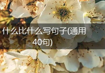 什么比什么写句子(通用40句)