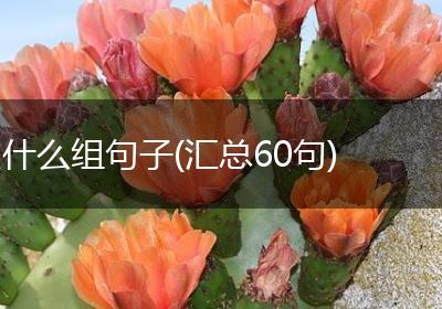 什么组句子(汇总60句)
