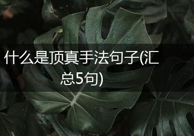 什么是顶真手法句子(汇总5句)