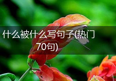 什么被什么写句子(热门70句)