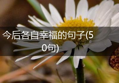 今后各自幸福的句子(50句)