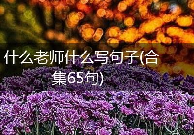 什么老师什么写句子(合集65句)