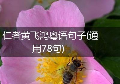 仁者黄飞鸿粤语句子(通用78句)