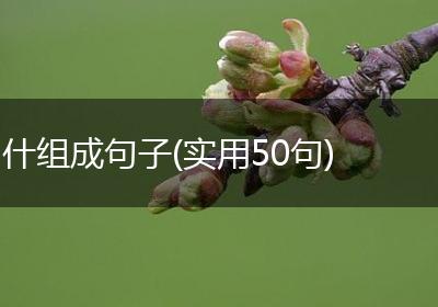 什组成句子(实用50句)