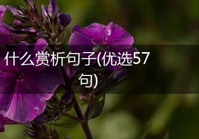 什么赏析句子(优选57句)