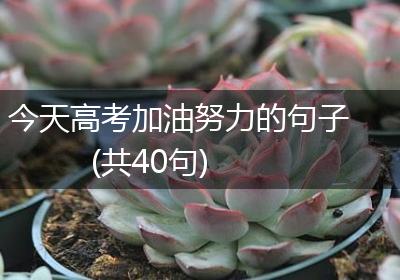 今天高考加油努力的句子(共40句)
